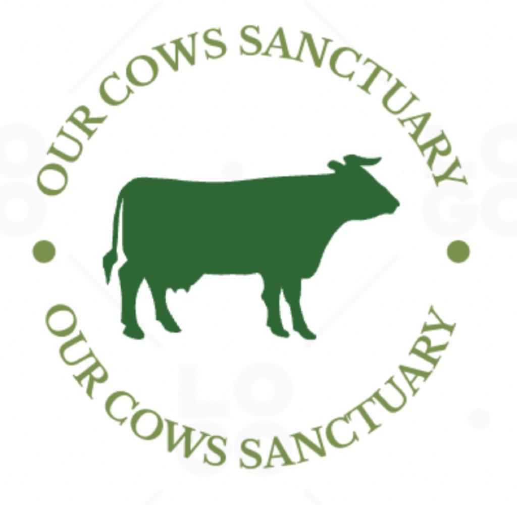 About Us – Our Cow Sanctuary